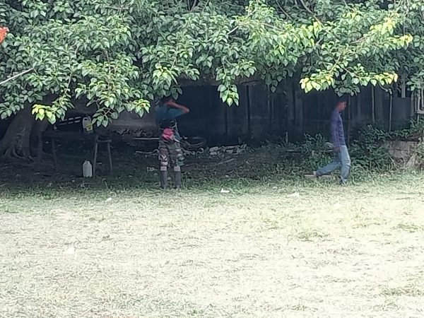 Pembabatan Rumput Liar di Lingkungan Kampus STAI Babussalam Sula