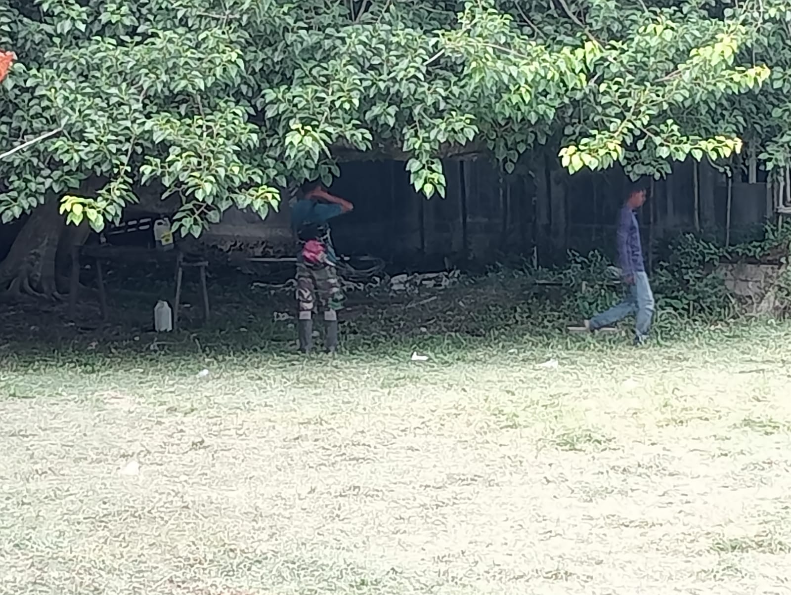 Pembabatan Rumput Liar di Lingkungan Kampus STAI Babussalam Sula